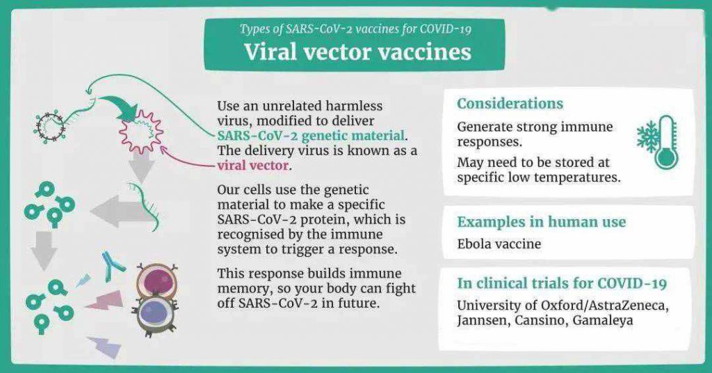 Inactivated virus vaccines, Type of vaccine, viral vector vaccines