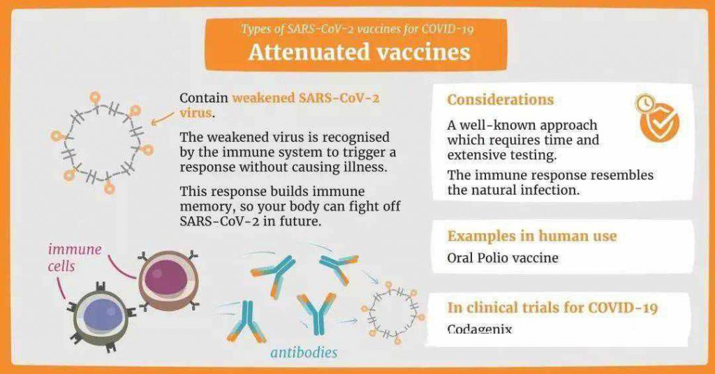 Recombinant protein subunit vaccine, attenuated vaccines