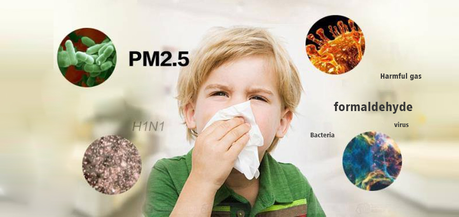 Viruses in the living environment, formaldehyde, PM2.5.5, Harmful substances in the air