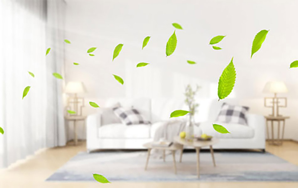 Fresh indoor air, floating green leaves