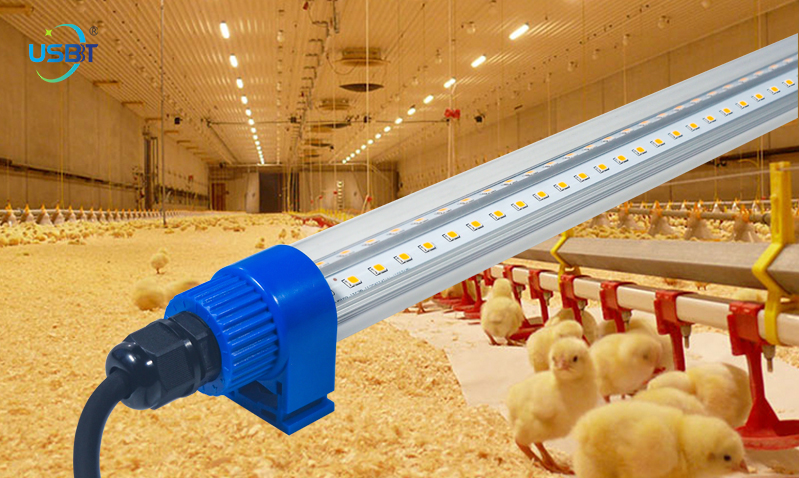 Poultry farming lights