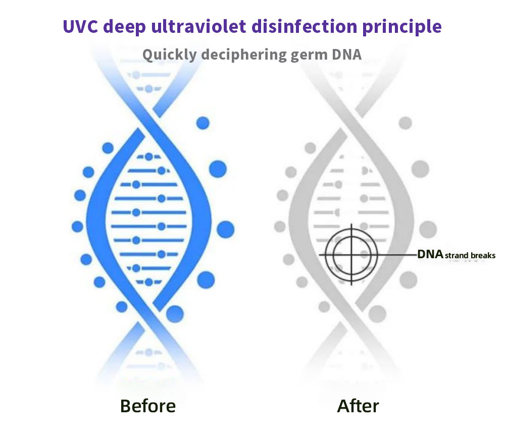 UVC ultraviolet disinfection principle, Quickly deciphering germ DNA, Germicidal UVC principle